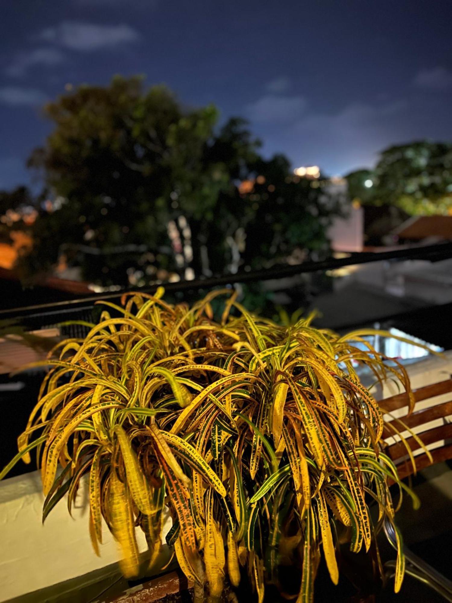 La Viduka Hostel Cartagena Exteriör bild